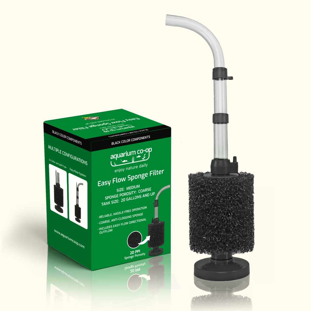 Top Products